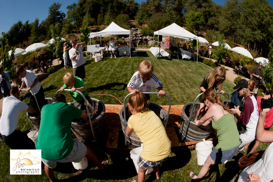 David Girard Grape Stomp