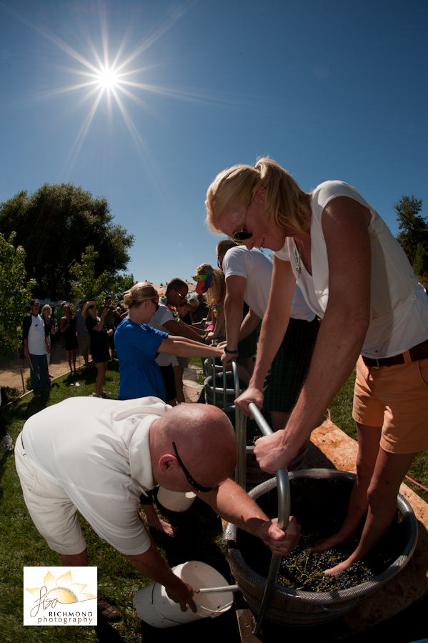 David Girard Grape Stomp