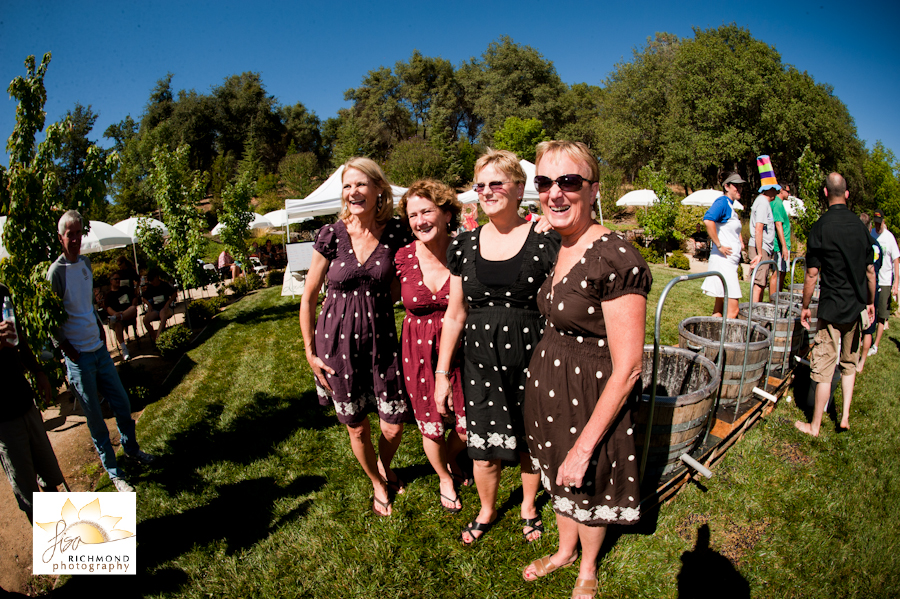 David Girard Grape Stomp