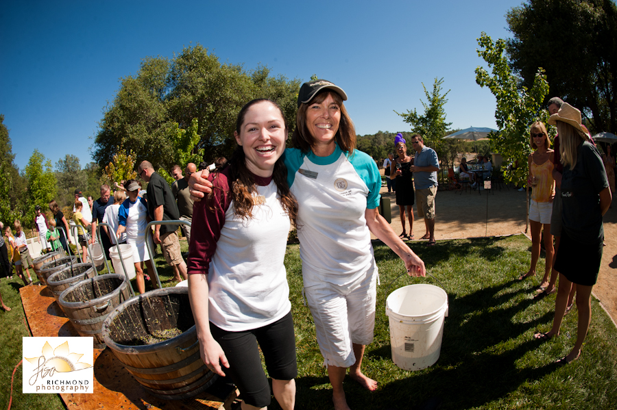 David Girard Grape Stomp