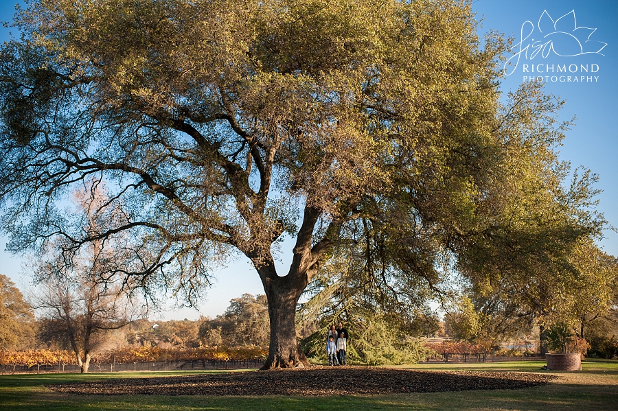 010_lisa_richmond_photography_cameron_Park_family_photographer_northern_california_family_photographer_private_home_family_portraits_0012