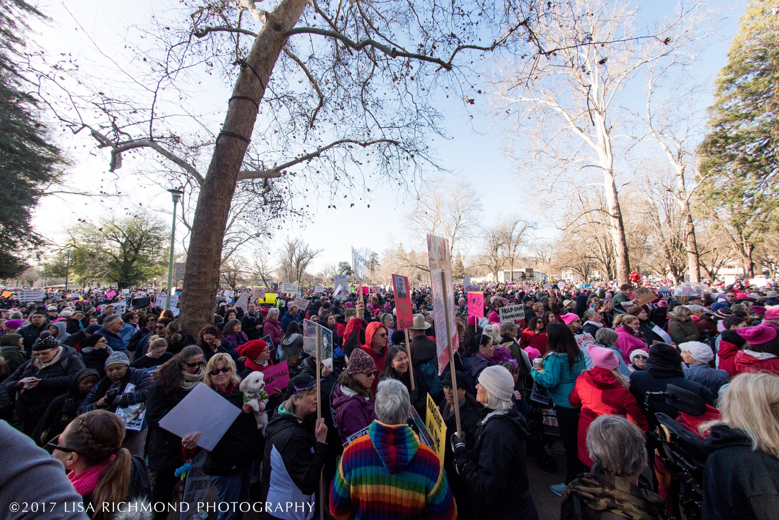 Women&#8217;s March in Sacramento ~ Jan 21, 2017