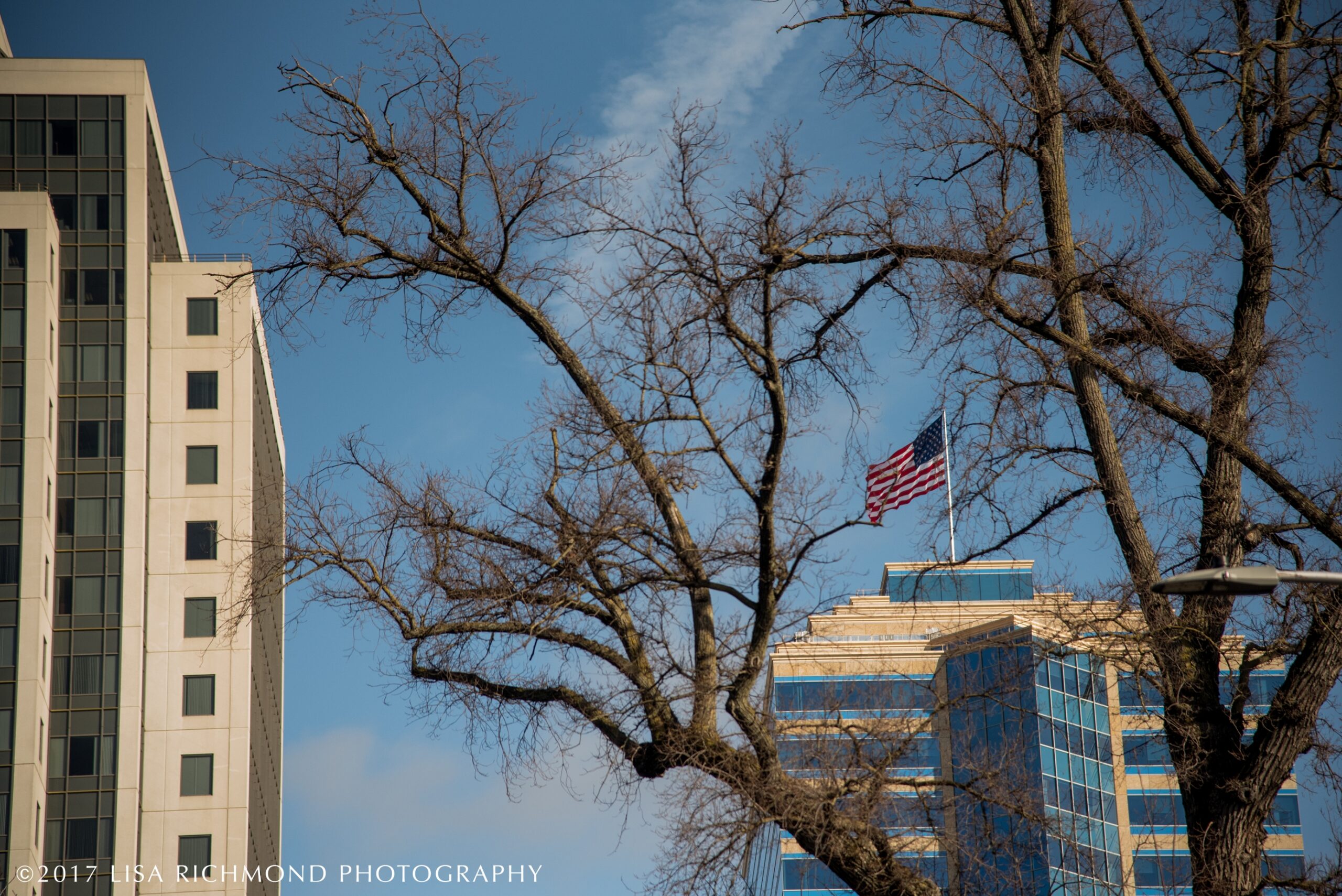 Women&#8217;s March in Sacramento ~ Jan 21, 2017