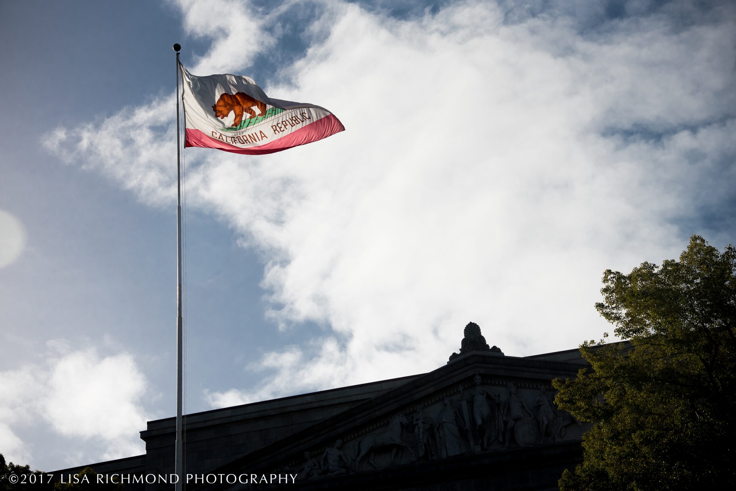 Women&#8217;s March in Sacramento ~ Jan 21, 2017