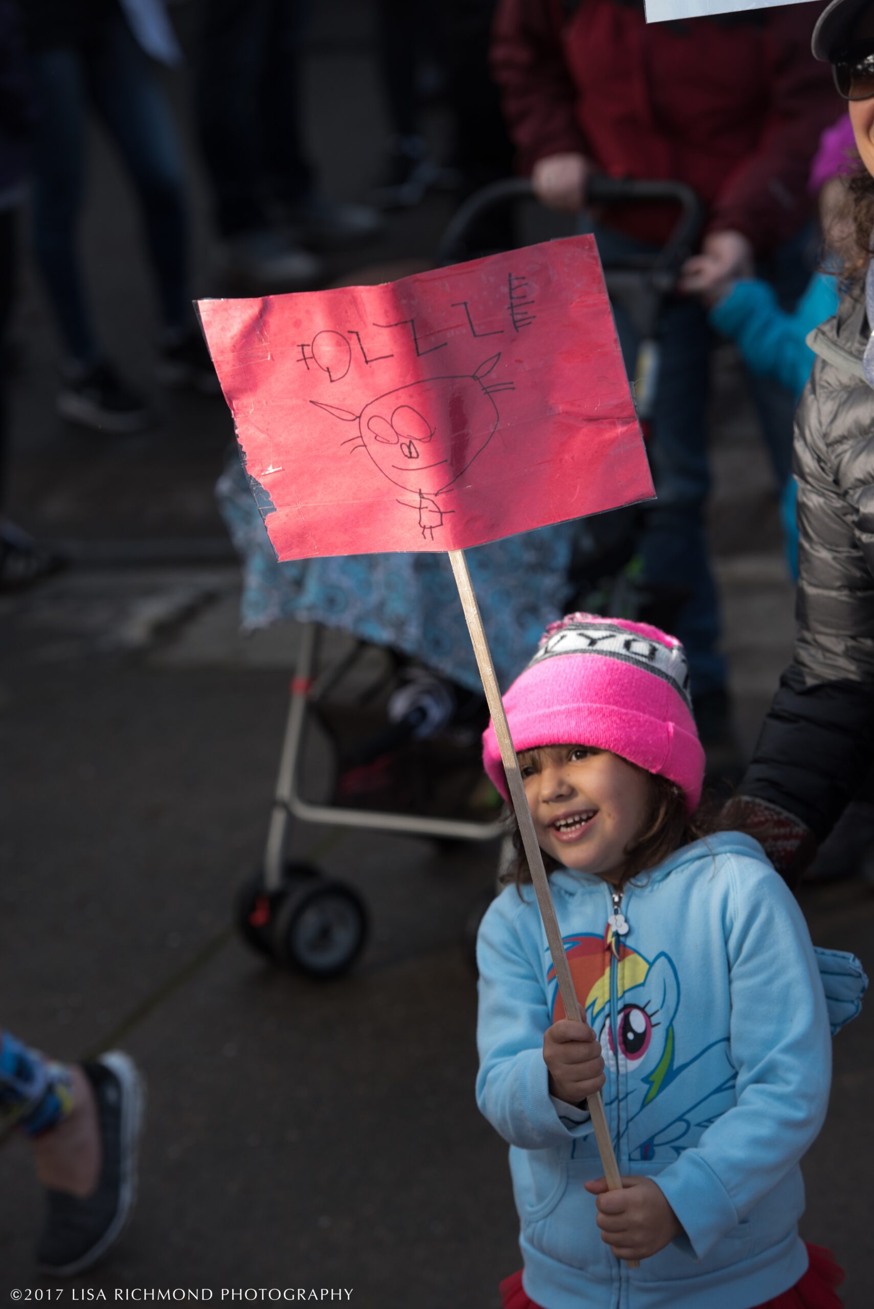 Women&#8217;s March in Sacramento ~ Jan 21, 2017