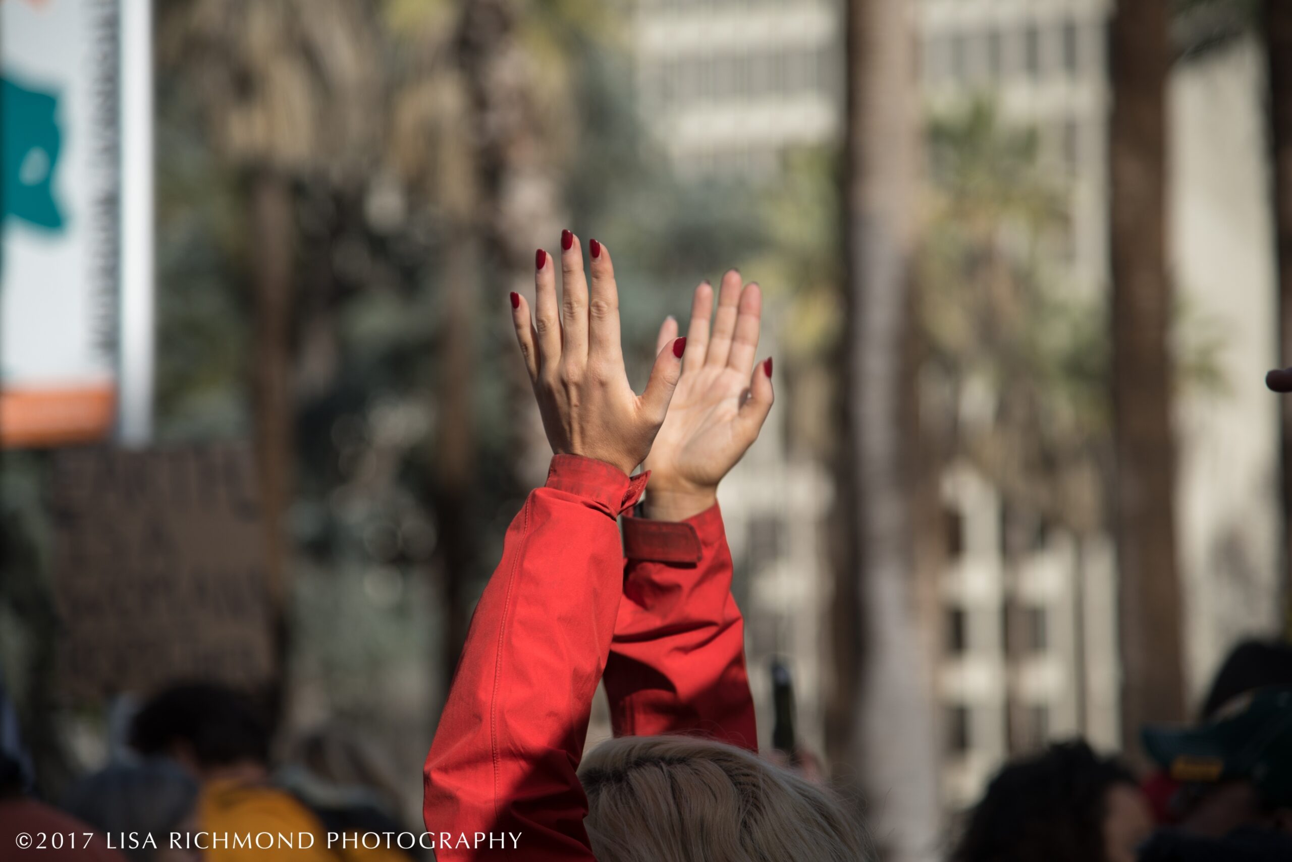 Women&#8217;s March in Sacramento ~ Jan 21, 2017