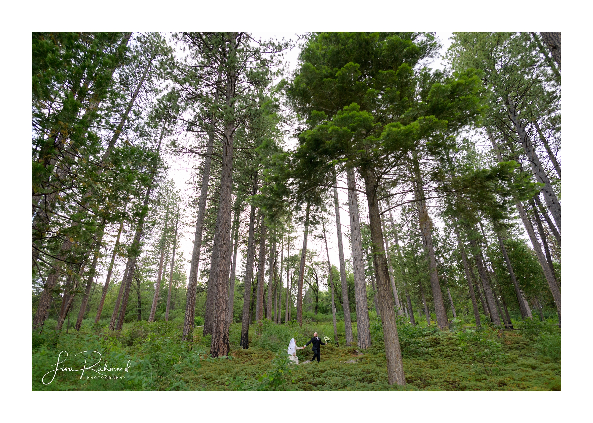 Jessica and Charles &#8211; Elope in Pollock Pines