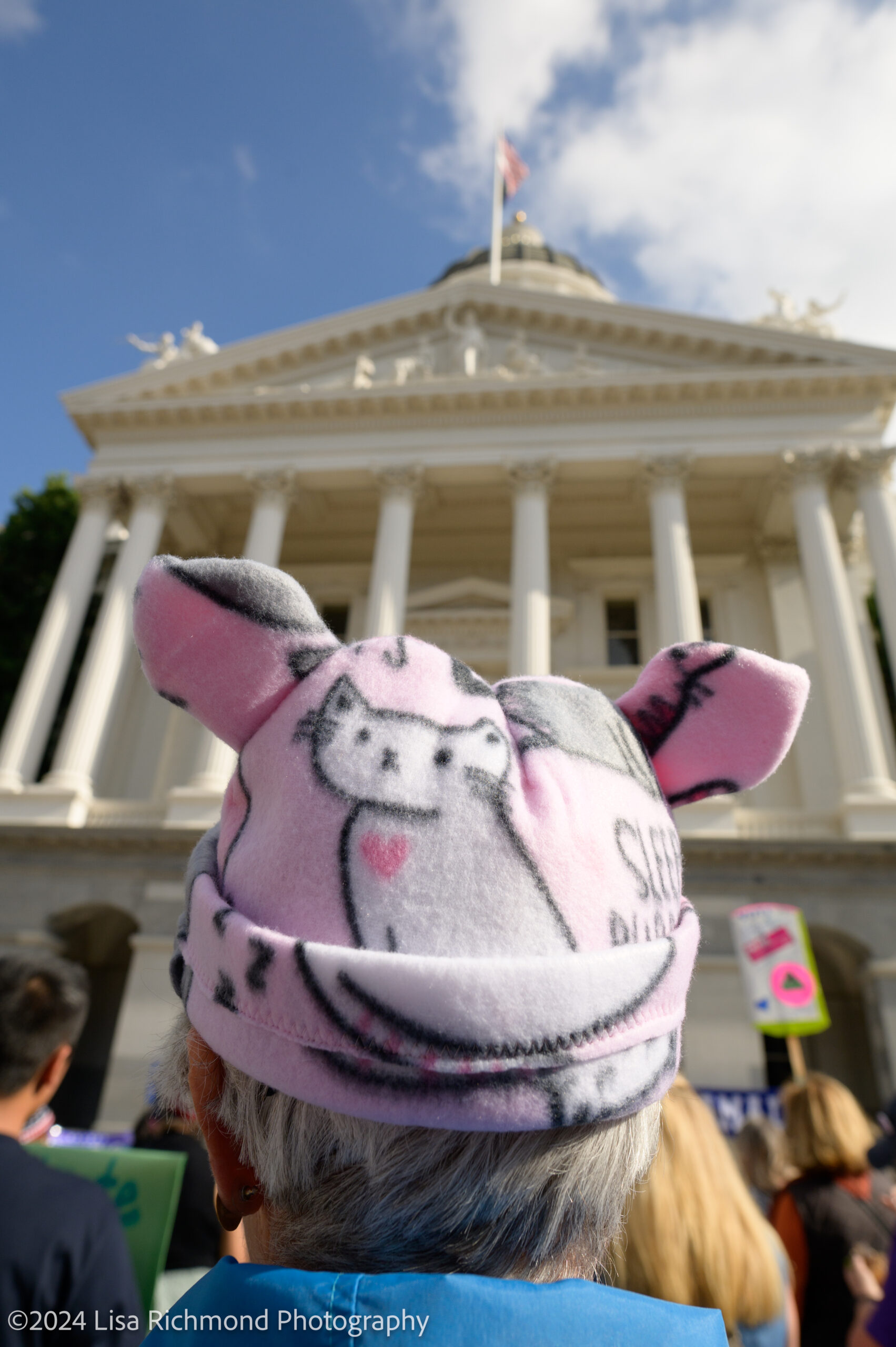 Women&#8217;s March, Sacramento GOTV