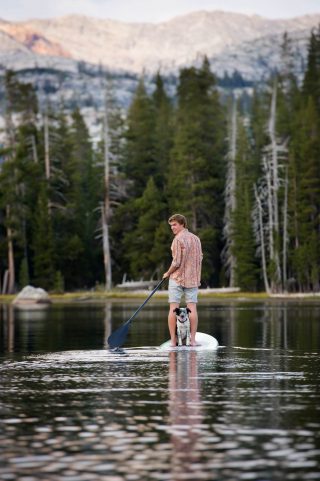 Young man and his dog on stand up paddleboard on a mountain lake
